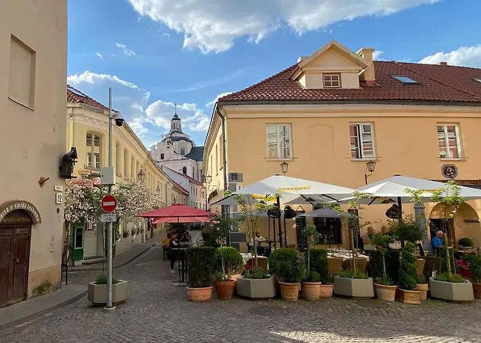 アパート Meshka's ヴィリニュス