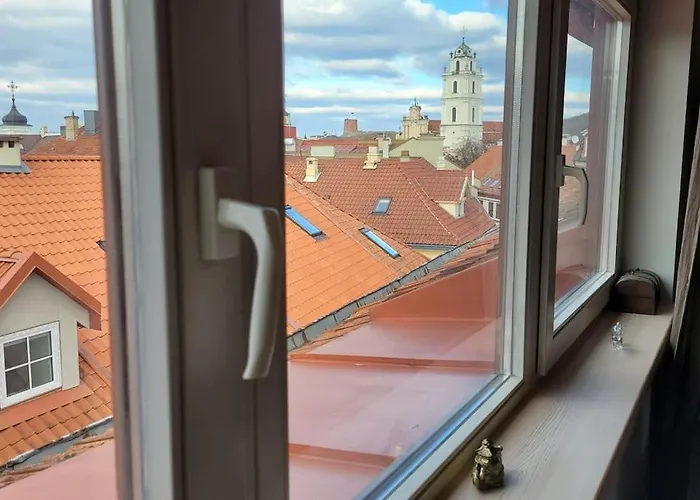 Meshka's Апартаменти Вільнюс